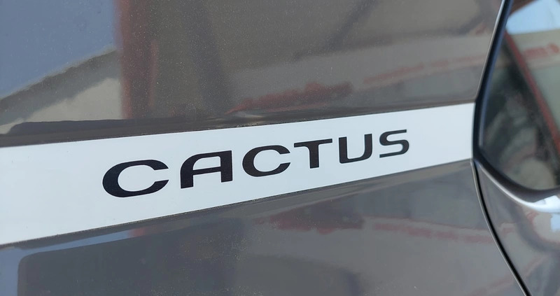 Citroen C4 Cactus cena 36900 przebieg: 168000, rok produkcji 2015 z Lębork małe 407